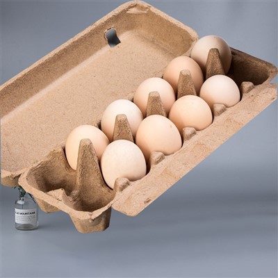 Baki Telur Bubur Kertas